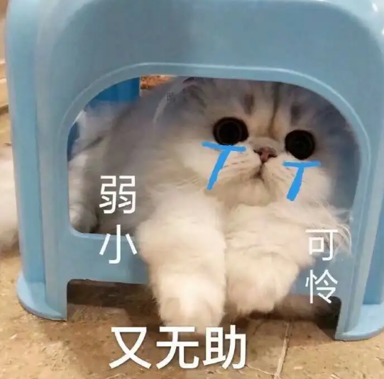 国际快递