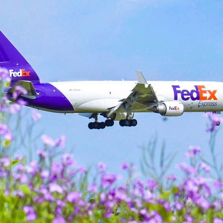 FedEx国际快递官网